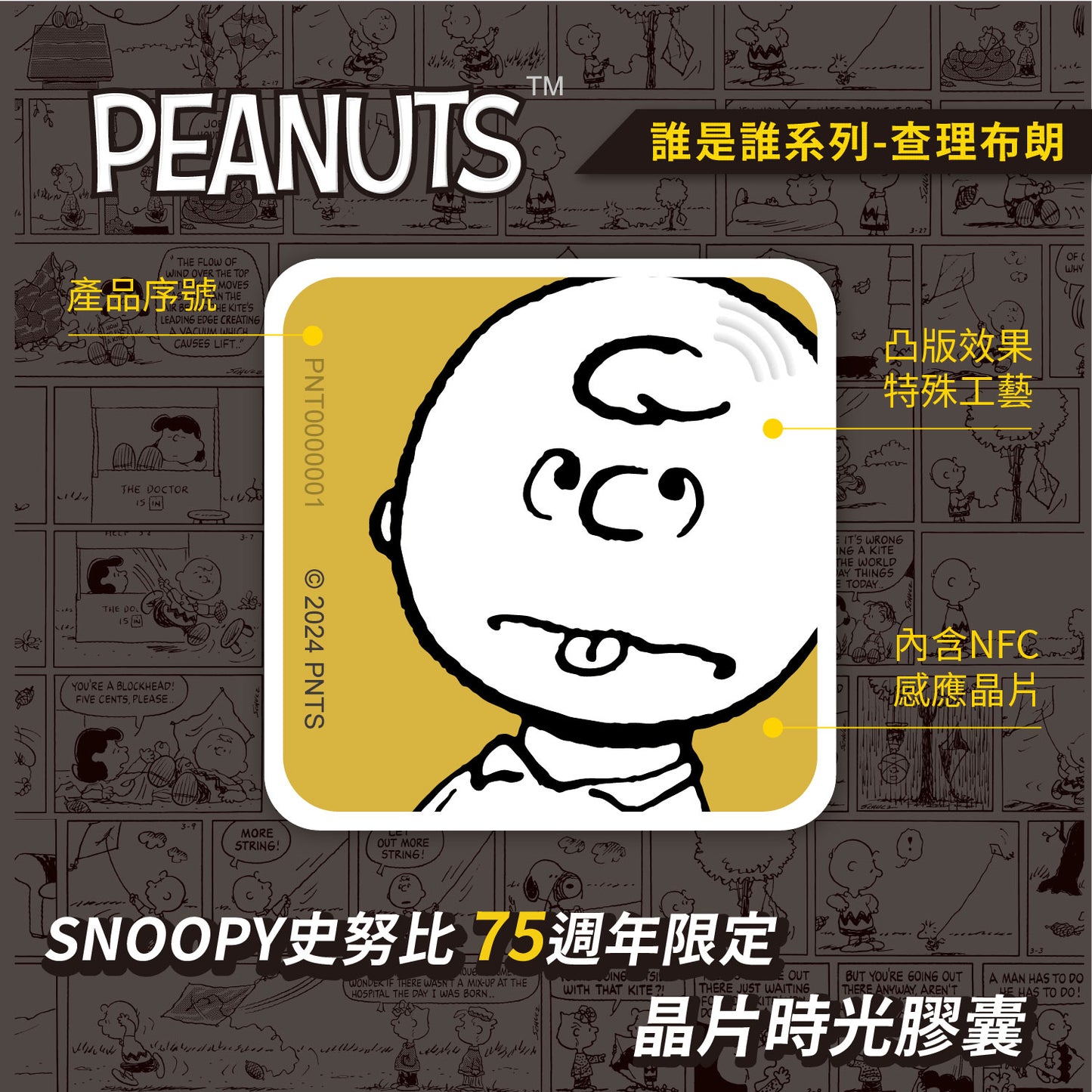 晶片時光膠囊--im-charlie-brown-2