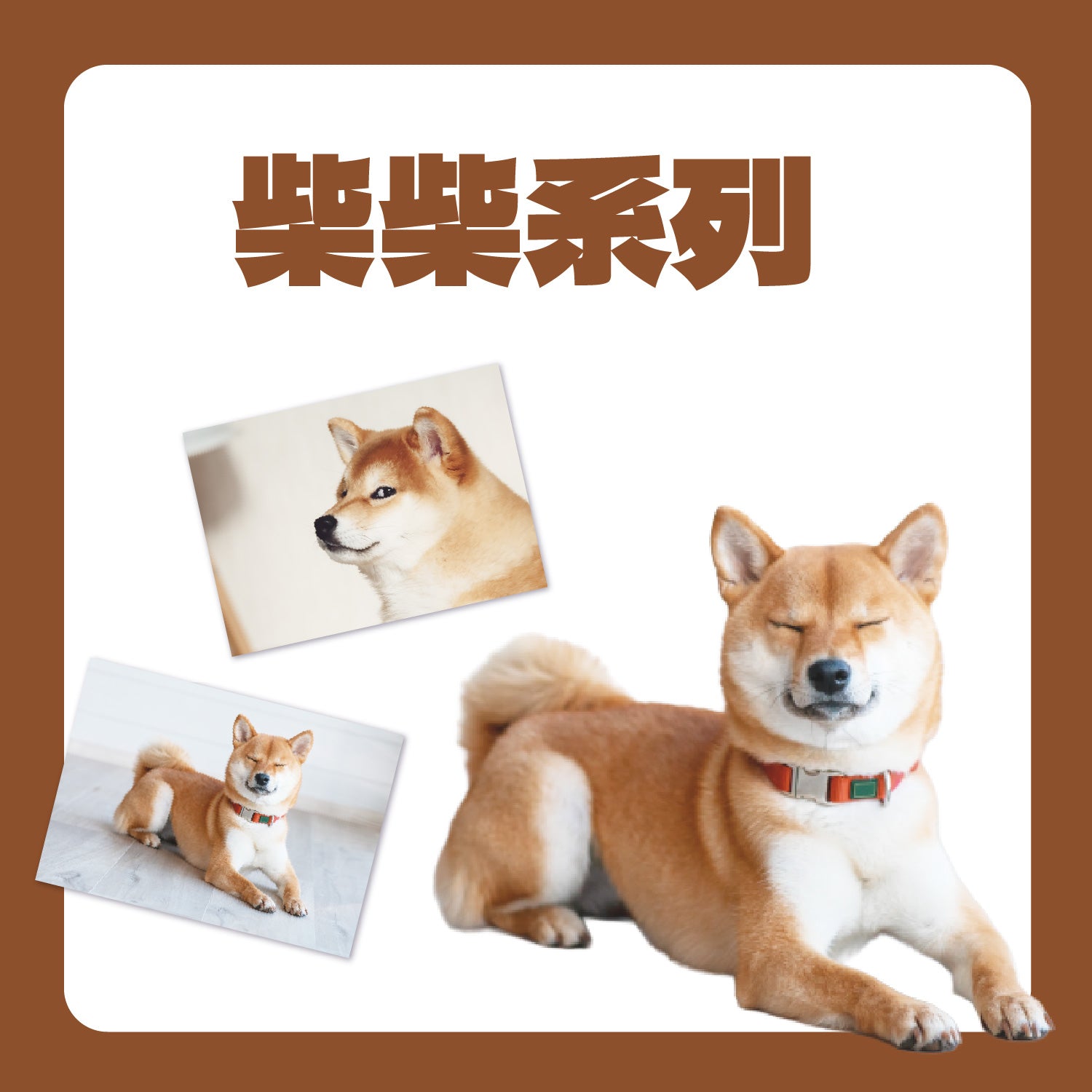 柴柴晶片明信片